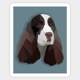 Springer Spaniel Sticker